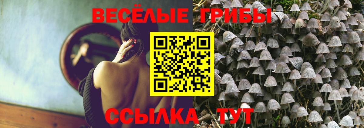 Галлюциногенные грибы GOLDEN TEACHER  Вход с VPN  Балашиха 